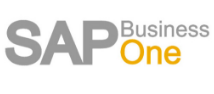 SAP ONE.
